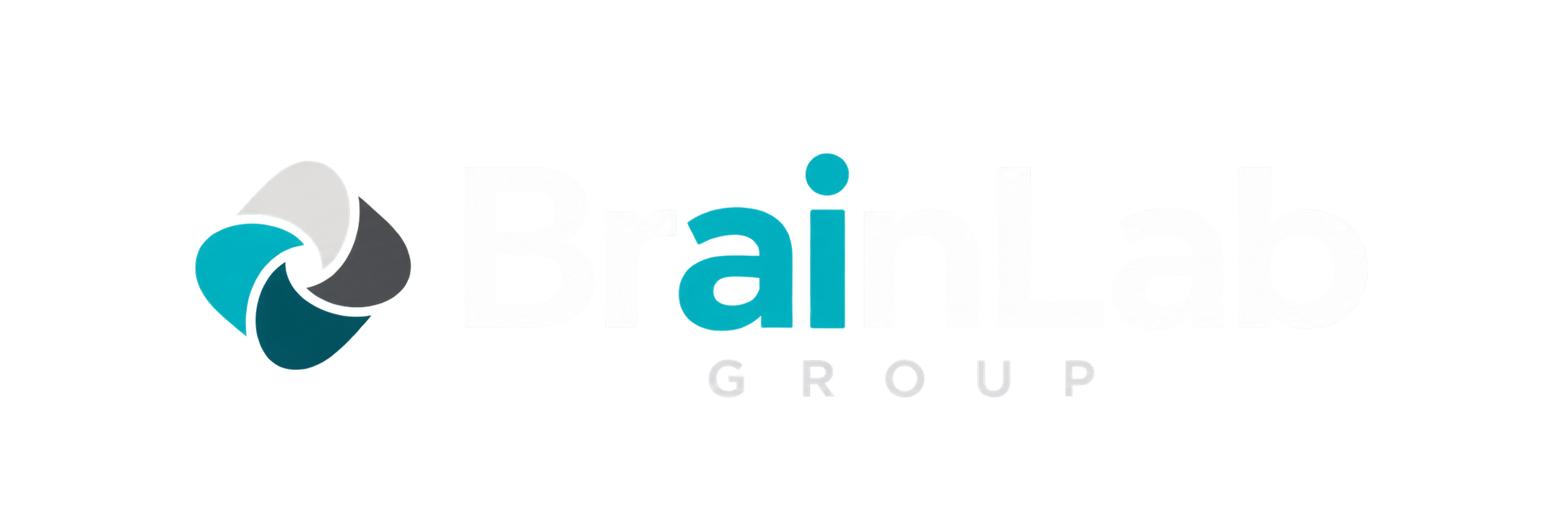 BrainLab Group